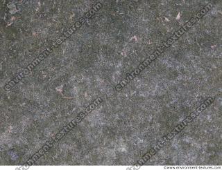 Photo Textures of Ground Grass Frozen